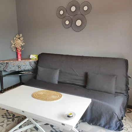 Climatise A 500m Des Plages Avec Terrasse Et Parking Privatif - Fr-1-776-102 Apartamento *