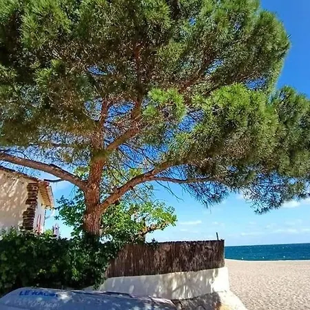 Lejlighed Climatise A 500m Des Plages Avec Terrasse Et Parking Privatif - Fr-1-776-102